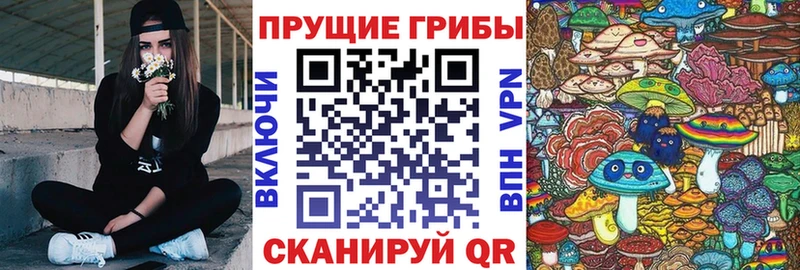 Псилоцибиновые грибы ЛСД  закладки  Славск 