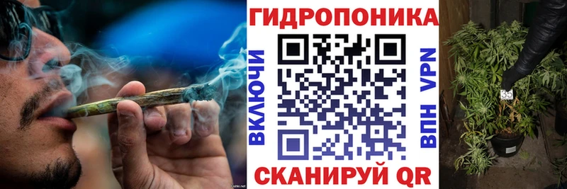 Бошки Шишки SATIVA & INDICA  MEGA вход  Славск 